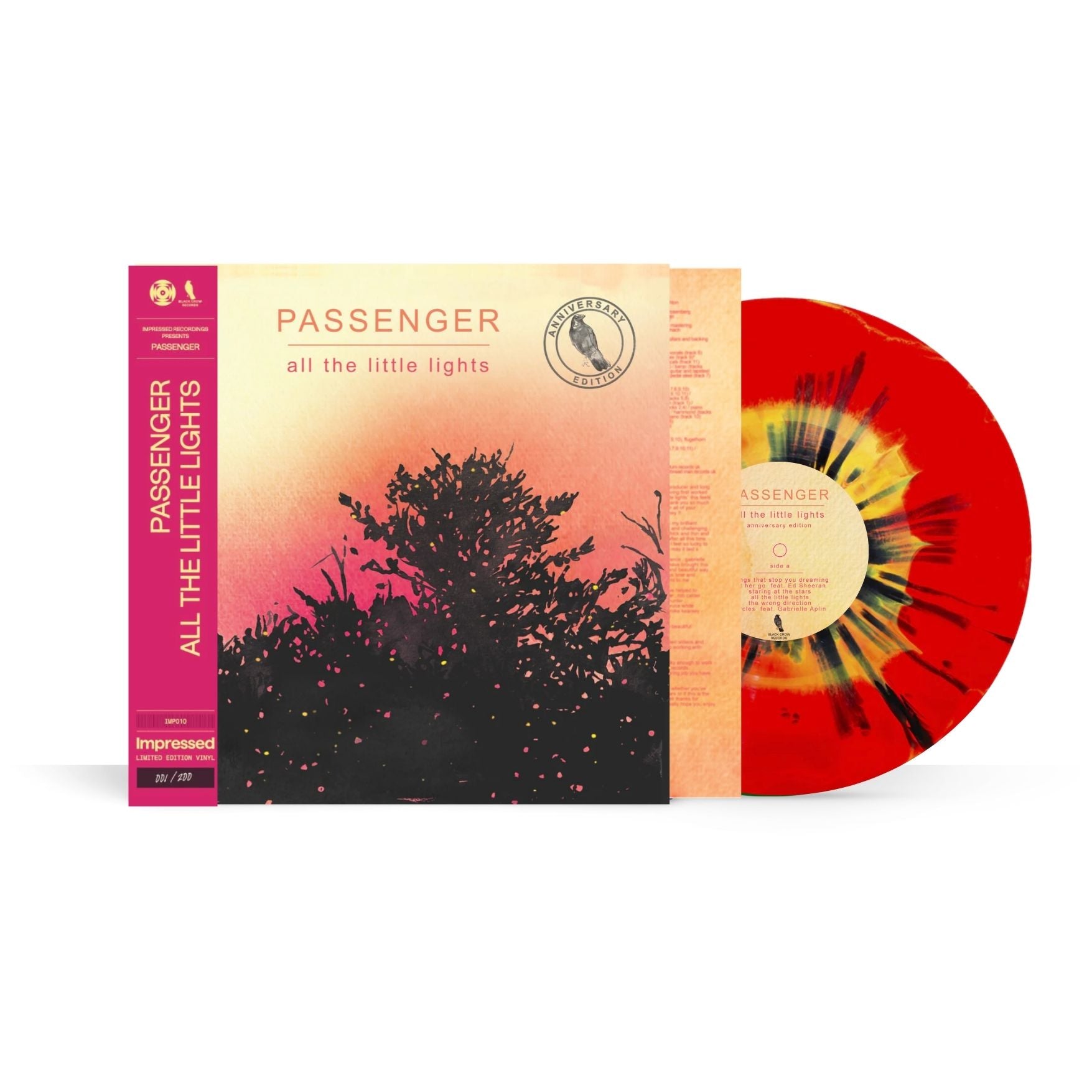 Passenger - All The Little Lights (10th Anniversary Edition) - Vinyl LP