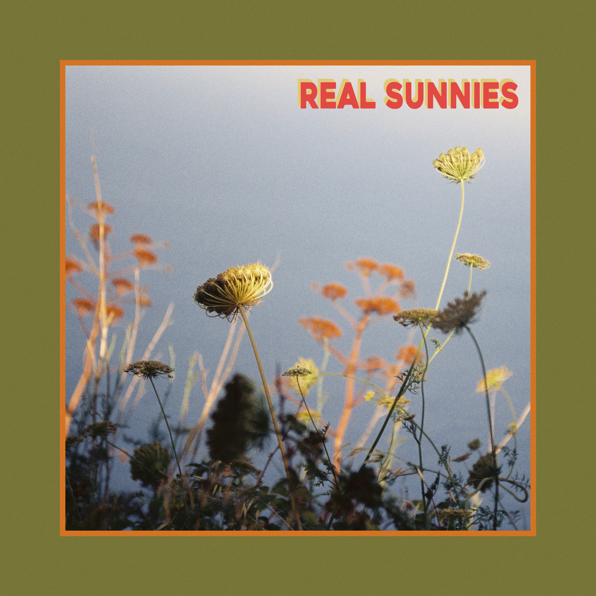 Real Sunnies - Self Titled - Burnt Orange Vinyl LP