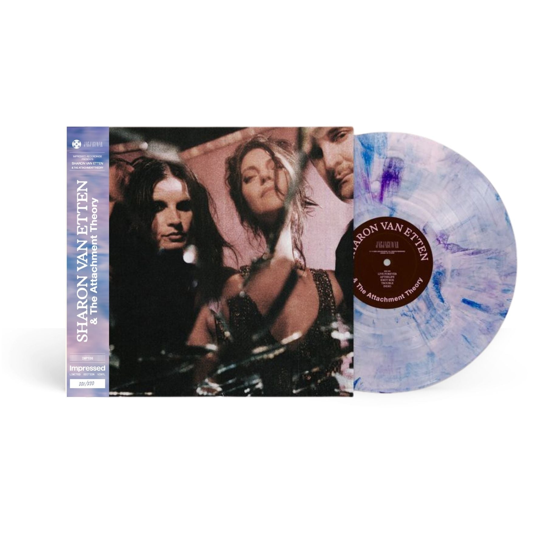 Sharon Van Etten & The Attachment Theory - Self Titled Album - Vinyl LP