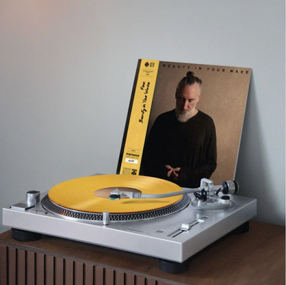 Fink - Beauty In Your Wake - Australian Exclusive Vinyl LP