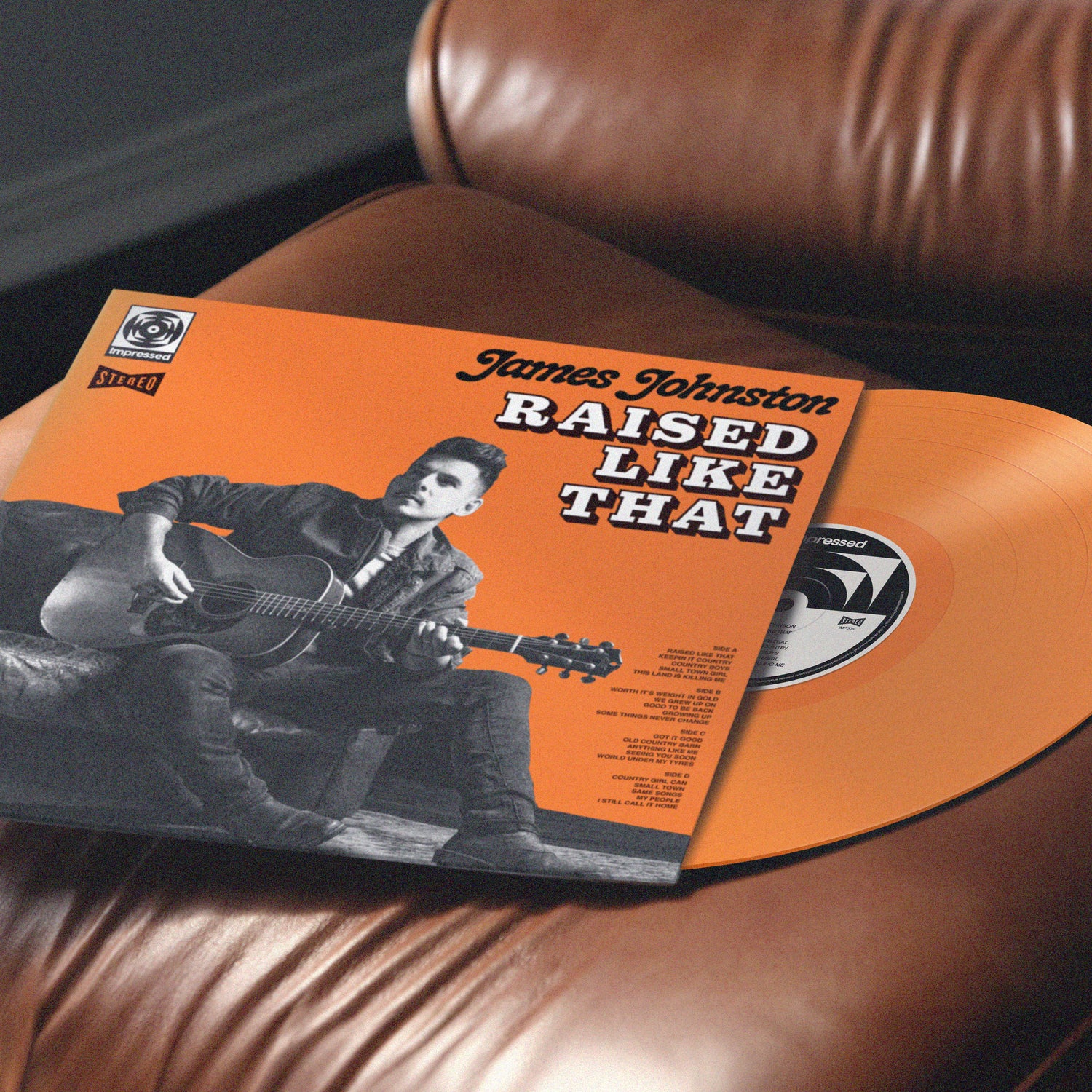 James Johnston - Raised Like That - Vinyl Double LP