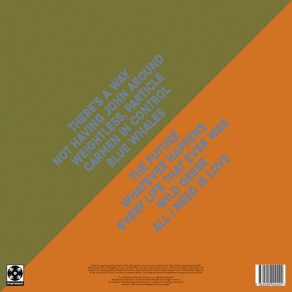 Real Sunnies - Self Titled - Burnt Orange Vinyl LP